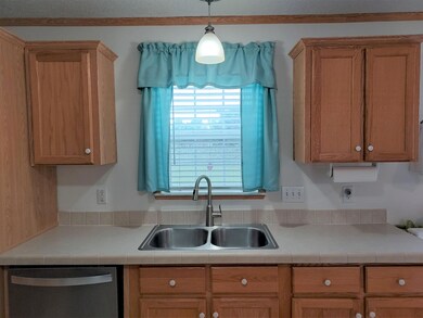 Kitchen Window and Sink
