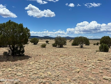 70 Off of Volcano, Ash Fork, AZ 86320 - photo 6