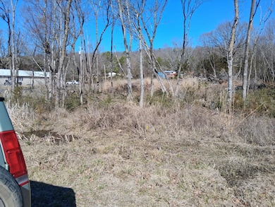 2 lots Lutie Rd, Wilburton, OK 74578 - photo 4