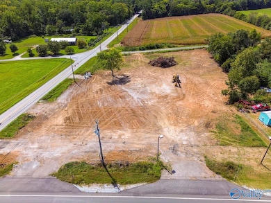 13971 431 U S 231, Hazel Green, AL 35750 - photo 4