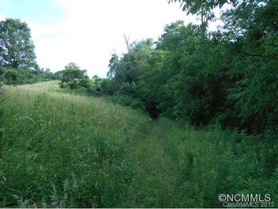 Green meadows
