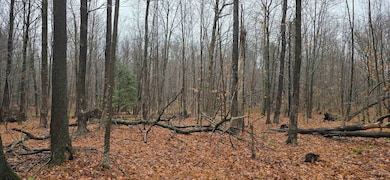 0 Countyroad Ww, Merrill, WI 54452 - photo 3