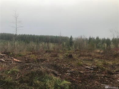 0 Kinsman Ct E unit 1395445, Roy, WA 98580 - photo 2