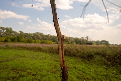 430 N River Park Rd, Burrton, KS 67020 - photo 6