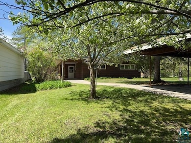 View of grassy yard