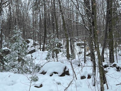 00 Deer Valley Rd unit 477, Bradford, NH 03221 - photo 5