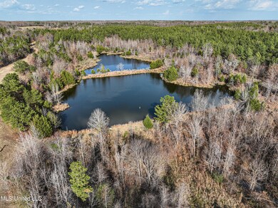 DJI_0394