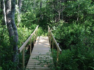 Other. Bridge on path to water