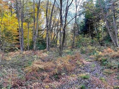 0 Emerald unit Map 16 Lot 169, Hillsborough, NH 03244 - photo 4