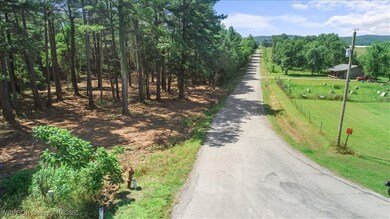 LOT 4 Walker Mountain Rd, Heavener, OK 74937 - photo 5