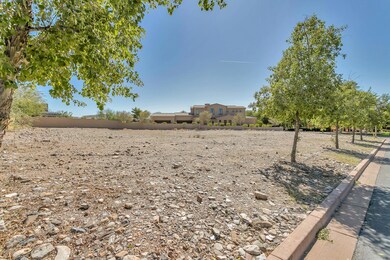 Tree Lined Lot