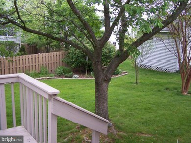 102 Black Walnut Ct, Stephens City, VA 22655 - photo 7