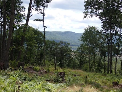 0 Denio Rd unit 24587948, Barnet, VT 05819 - photo 4