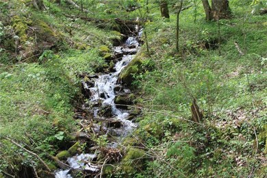 0000 Big Spring Trail unit 69, Qualla, NC 28719 - photo 4