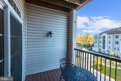 601 Quicksilver Ct unit 302, Reisterstown, MD 21136 - photo 3