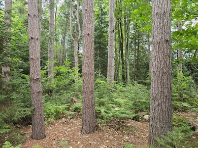 10.11 Acre Golden Rd SE unit 10.11 Acre, Kalkaska, MI 49646 - photo 7