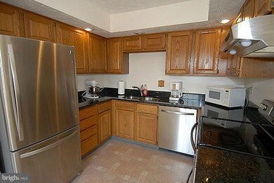 7908 Brightmeadow Ct, Ellicott City, MD 21043 - photo 4