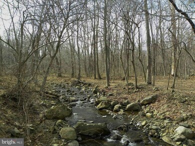 503 Keyser Run Rd, Washington, VA 22747 - photo 7