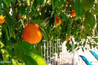 1125 E Irma Ln, Phoenix, AZ 85024 - photo 4