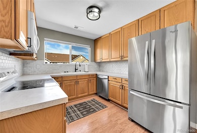 4605 Hahns Peak Dr unit 203, Loveland, CO 80538 - photo 5