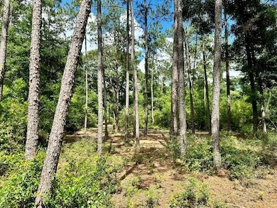 0 Jack Crum Rd unit 359125, Crawfordville, FL 32327 - photo 5