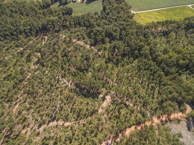 00 Oak Grove Church Rd, Asheboro, NC 27205 - photo 7