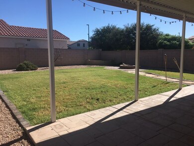 Back yard
