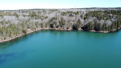 11 Collins Cove Rd, MacHiasport, ME 04655 - photo 4