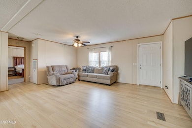 175 Forest Rd, Mosheim, TN 37818 - photo 7