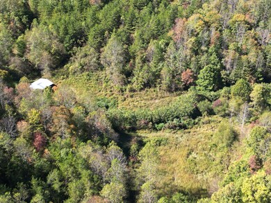 9999 Ohler Branch Rd, East Bernstadt, KY 40729 - photo 6