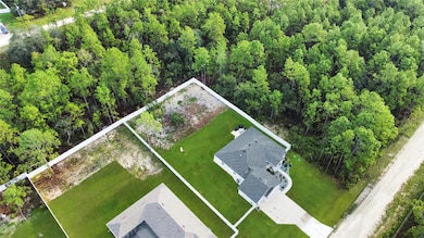 13023 Downy Woodpecker Rd, Weeki Wachee, FL 34614 - photo 7