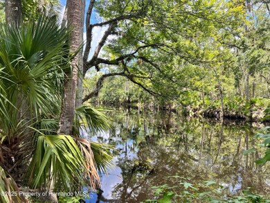 1528 NE Palm St, Steinhatchee, FL 32359 - photo 4