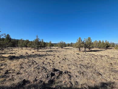 0 Cedar Trail unit 4008-01700-0900, Klamath Falls, OR 97601 - photo 6