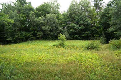 0 Rhoades Rd unit 11D 4872884, Alstead, NH 03602 - photo 2