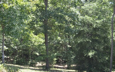Additional View