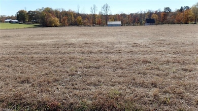 5317 Saint Paul Church Rd, Hamptonville, NC 27020 - photo 3