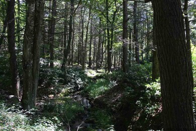 TBD White Birch Rd, Kerhonkson, NY 12446 - photo 6