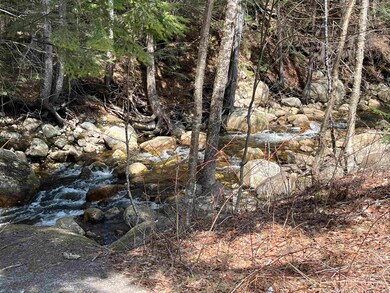 21 Mountain Brook Way unit 17, Waterville Valley, NH 03215 - photo 2