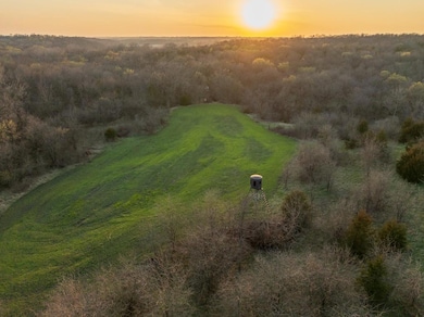 0 W Stateline Rd unit HMS2547816, Grant City, MO 64734 - photo 6