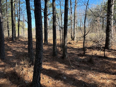 Photo Feb 24 2025, 11 15 29 AM