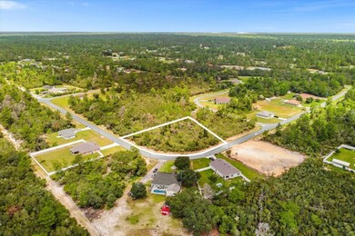 0 SW 175th Loop unit MFRO6144295, Ocala, FL 34473 - photo 3