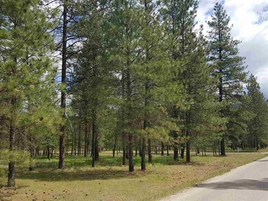 2600 Blk Hogan's Way, Chewelah, WA 99109 - photo 6