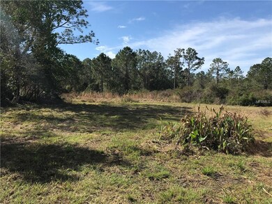 4670 Kola Rd, New Smyrna Beach, FL 32168 - photo 6