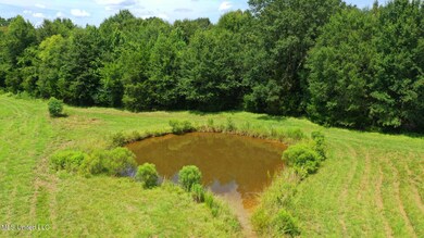 0 Russell Rd, Flora, MS 39071 - photo 3