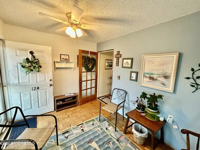Ceiling fan and parquet floors
