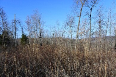 4874 Fox Knob Ln, Cookeville, TN 38506 - photo 3