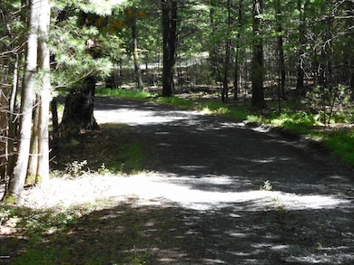 1063 Milford Rd, Dingmans Ferry, PA 18328 - photo 6