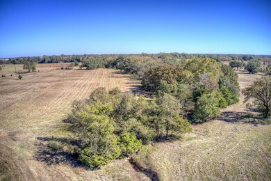 Tbd Tract B County Road 1468, Quitman, TX 75783 - photo 5