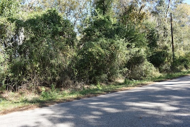 3415 Evergreen Dr, Houston, TX 77365 - photo 2