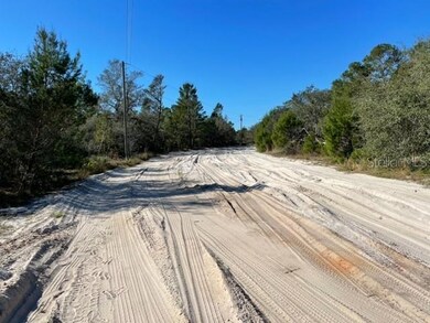 Dirt Road